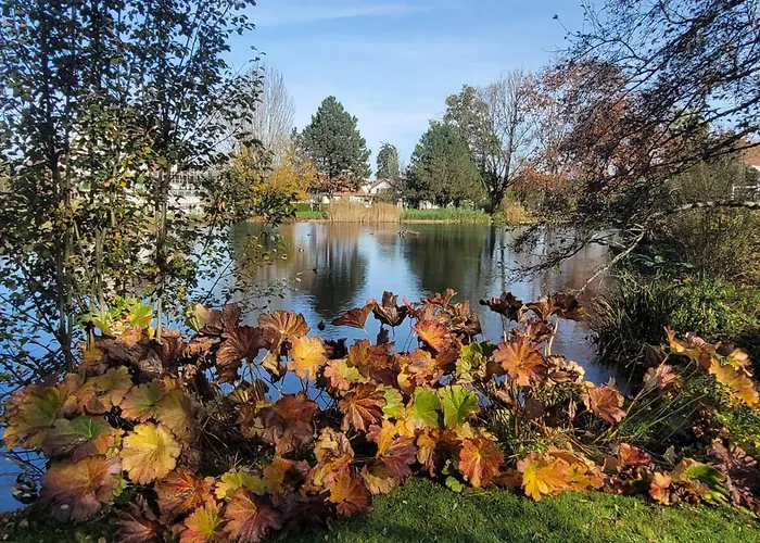Ferienstudio Altstadtflair - Historisch Urlauben Im Denkmalschutz Am Kurpark