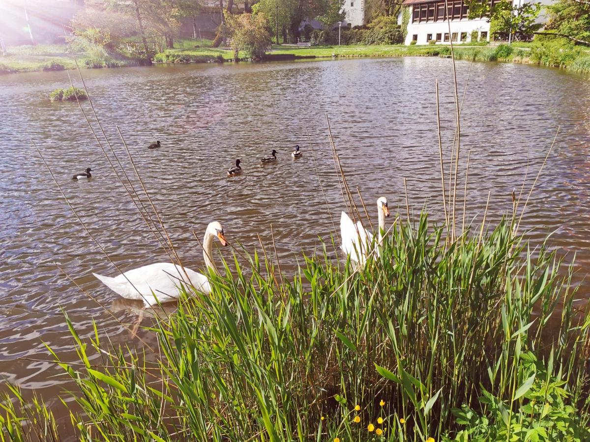 Ferienstudio Altstadtflair - Historisch Urlauben Im Denkmalschutz Am Kurpark Isny im Allgau