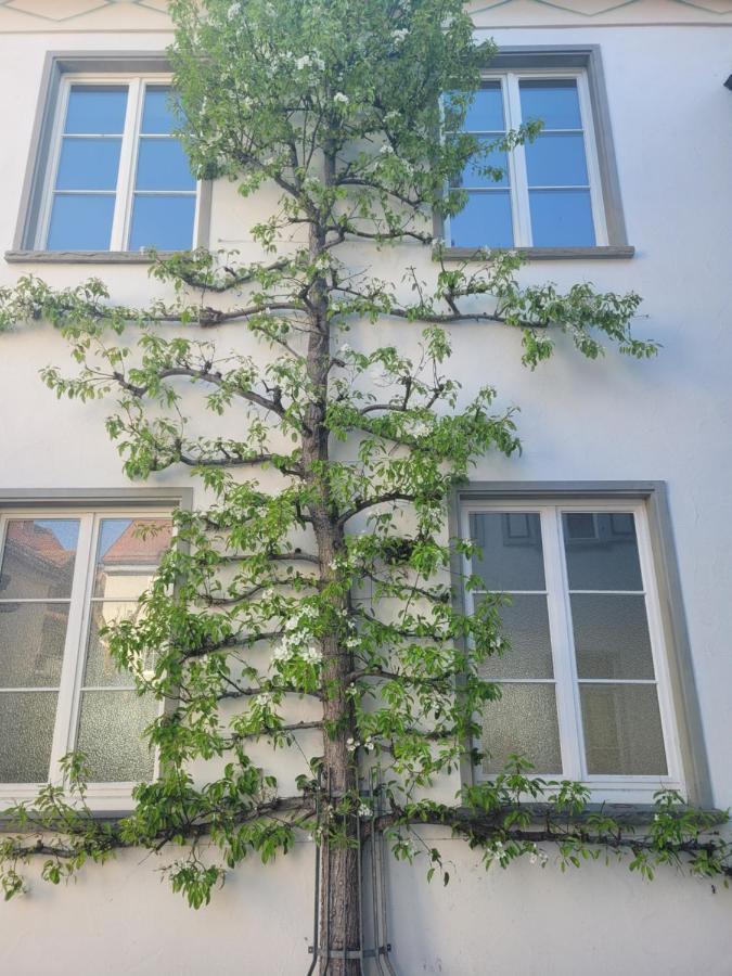 Ferienstudio Altstadtflair - Historisch Urlauben Im Denkmalschutz Am Kurpark